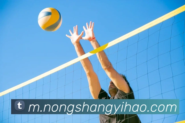 壹号娱乐品牌故事