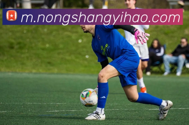 壹号娱乐服务体系